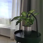 Tabacariei * Konstanca